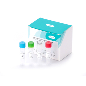 Kit de teste de ácido nucleico de vírus influenza A (método de sondagem de fluorescência de PCR)