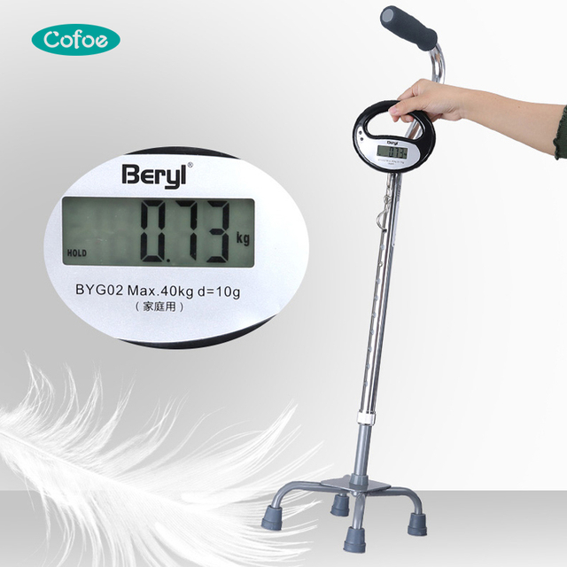 KFSZ010 Canes domésticos personalizados