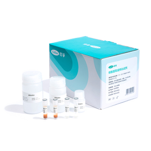 Kit de extração de ácido nucleico no sangue (método de contas magnéticas)