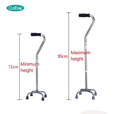 KFSZ010 Canes domésticos duráveis